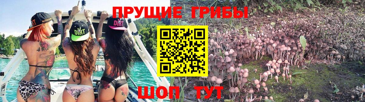 Галлюциногенные грибы Magic Shrooms Самара