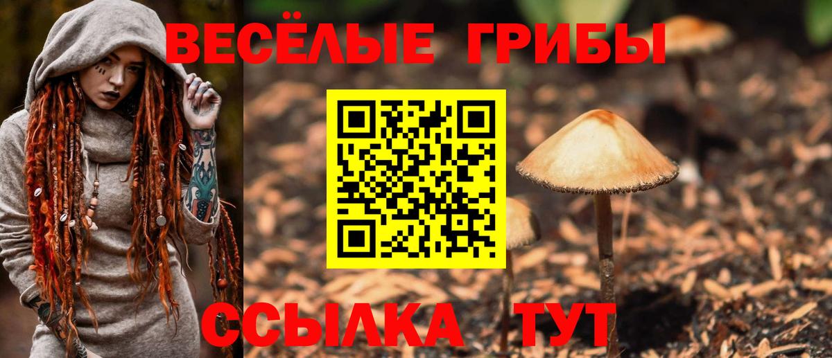 Псилоцибиновые грибы мухоморы  Вход с VPN  Самара 